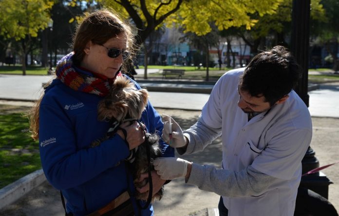 Atención veterinaria municipal | Noticias Bahia