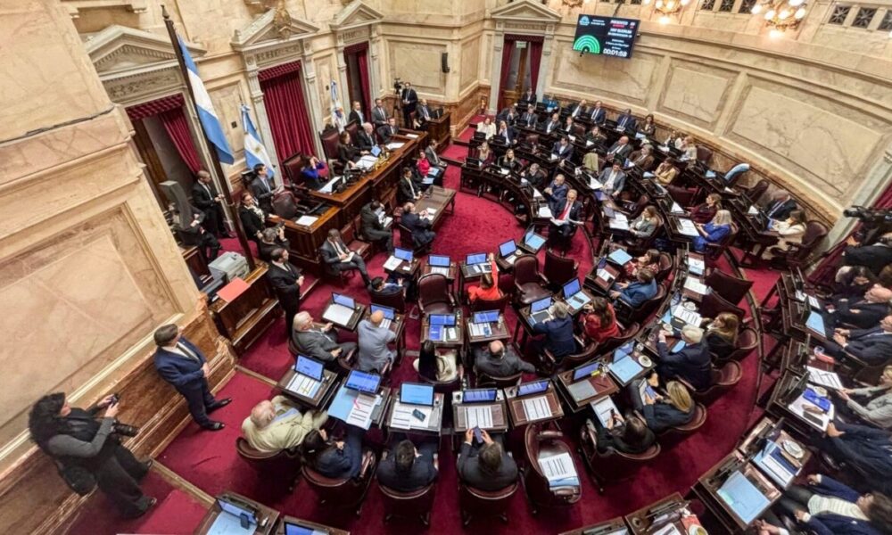 Reforma de la Ley de Salud Mental: el Senado busca habilitar las internaciones involuntarias